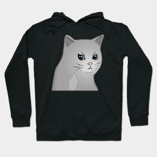 Moody Cat Middle Finger Hoodie